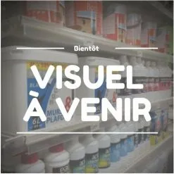 GUILBERT EXPRESS Pistolet A Air Chaud Autonome Réf. 4600caractéristiques Pistolet à Air Chaud